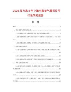 2026及未來(lái)5年小跑車款排氣管項(xiàng)目可行性研究報(bào)告