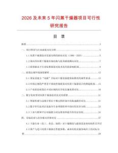 2026及未來5年閃蒸干燥器項目可行性研究報告