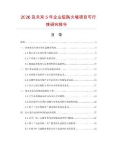 2026及未來5年企業級防火墻項目可行性研究報告