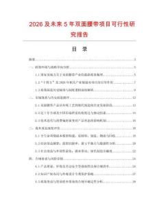 2026及未來5年雙面腰帶項目可行性研究報告
