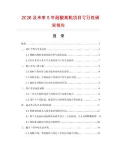 2026及未來5年耐酸高靴項目可行性研究報告