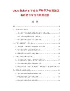 2026及未來(lái)5年空心杯轉(zhuǎn)子異步測(cè)速發(fā)電機(jī)項(xiàng)目可行性研究報(bào)告