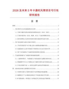 2026及未來5年卡通吹風筒項目可行性研究報告