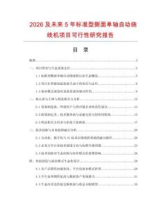 2026及未來5年標準型側面單軸自動繞線機項目可行性研究報告