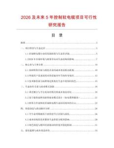 2026及未來5年控制軟電纜項目可行性研究報告