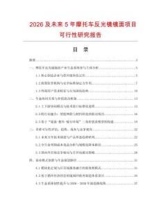 2026及未來5年摩托車反光鏡鏡面項目可行性研究報告