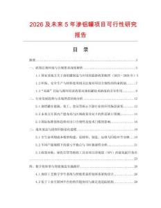 2026及未來5年滲鋁罐項目可行性研究報告