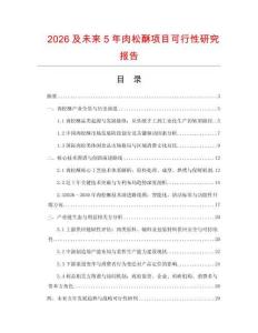 2026及未來5年肉松酥項目可行性研究報告
