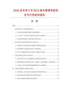 2026及未來5年BCS報(bào)關(guān)管理系統(tǒng)項(xiàng)目可行性研究報(bào)告