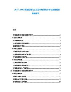 2025-2030青海鹽湖化工行業市場供需分析與發展前景策略研究