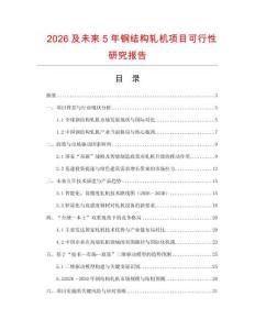 2026及未來5年鋼結構軋機項目可行性研究報告