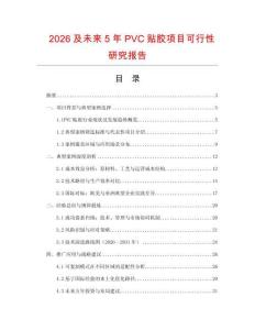 2026及未來5年PVC貼膠項目可行性研究報告