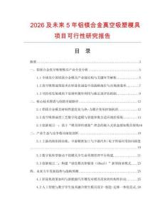 2026及未來5年鋁鎂合金真空吸塑模具項目可行性研究報告