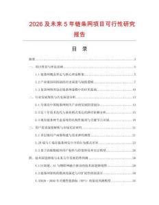 2026及未來5年鏈條網項目可行性研究報告
