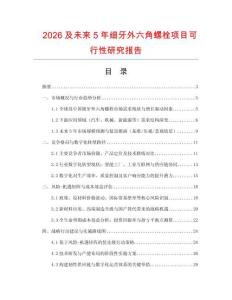 2026及未來5年細牙外六角螺栓項目可行性研究報告