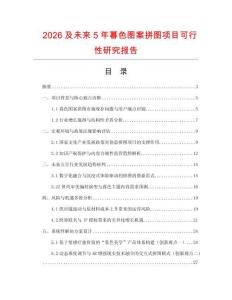 2026及未來5年暮色圖案拼圖項目可行性研究報告