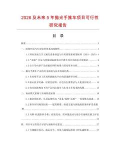 2026及未來5年拋光手推車項目可行性研究報告