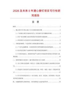 2026及未來5年通心窩釘項目可行性研究報告