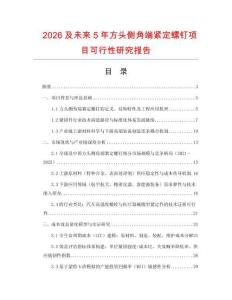 2026及未來5年方頭側角端緊定螺釘項目可行性研究報告