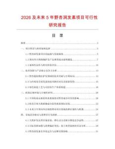 2026及未來(lái)5年野杏潤(rùn)發(fā)素項(xiàng)目可行性研究報(bào)告