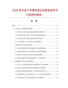 2026及未來5年真空澆注成型機項目可行性研究報告