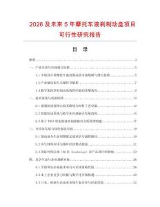 2026及未來5年摩托車液剎制動盤項目可行性研究報告