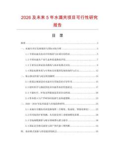 2026及未來5年水滴夾項目可行性研究報告
