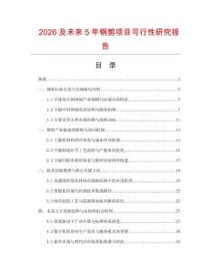 2026及未來(lái)5年鋼剪項(xiàng)目可行性研究報(bào)告