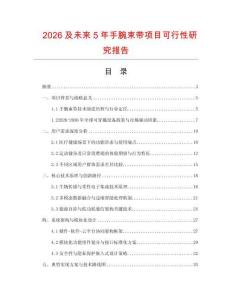 2026及未來5年手腕束帶項目可行性研究報告