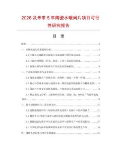 2026及未來5年陶瓷水暖閥片項目可行性研究報告