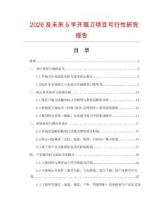 2026及未來5年開瓶刀項目可行性研究報告