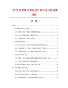 2026及未來5年壓線釘項目可行性研究報告