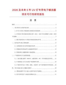 2026及未來5年UV燈專用電子鎮流器項目可行性研究報告