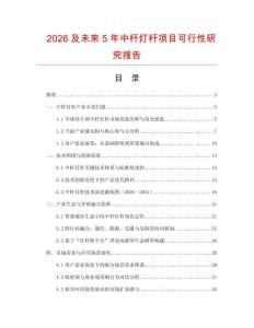 2026及未來5年中桿燈桿項目可行性研究報告