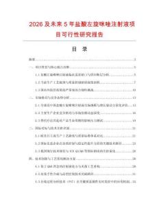 2026及未來5年鹽酸左旋咪唑注射液項目可行性研究報告