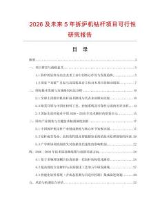 2026及未來5年拆爐機鉆桿項目可行性研究報告