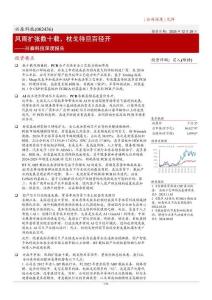 興森科技-002436-深度報(bào)告：風(fēng)雨擴(kuò)張數(shù)十載，枕戈待旦百?gòu)介_(kāi)-