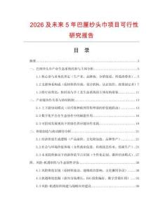 2026及未來5年巴厘紗頭巾項目可行性研究報告