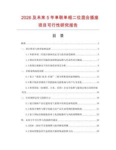 2026及未來5年單聯單相二位混合插座項目可行性研究報告