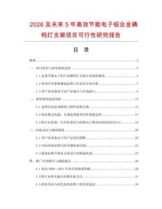 2026及未來5年高效節(jié)能電子鋁合金碘鎢燈支架項目可行性研究報告