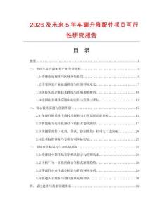 2026及未來5年車窗升降配件項目可行性研究報告