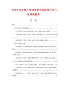 2026及未來5年細帶女式涼鞋項目可行性研究報告