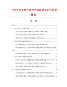 2026及未來5年加氣槍項目可行性研究報告
