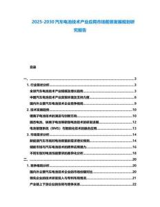 2025-2030汽車電池技術產業應用市場前景發展規劃研究報告