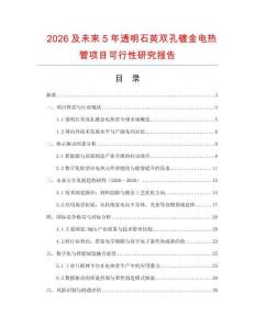2026及未來5年透明石英雙孔鍍金電熱管項(xiàng)目可行性研究報告