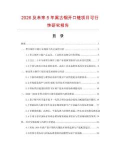 2026及未來5年黑古銅開口鏈項(xiàng)目可行性研究報告