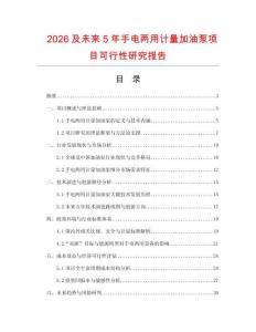 2026及未來5年手電兩用計量加油泵項目可行性研究報告