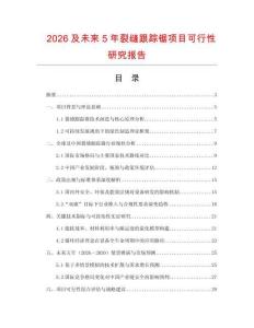 2026及未來5年裂縫跟蹤鋸項目可行性研究報告