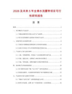 2026及未來5年全棉水洗腰帶項目可行性研究報告