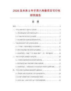 2026及未來5年手用六角套項(xiàng)目可行性研究報告